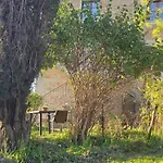 Podere Ponticini * Сиена