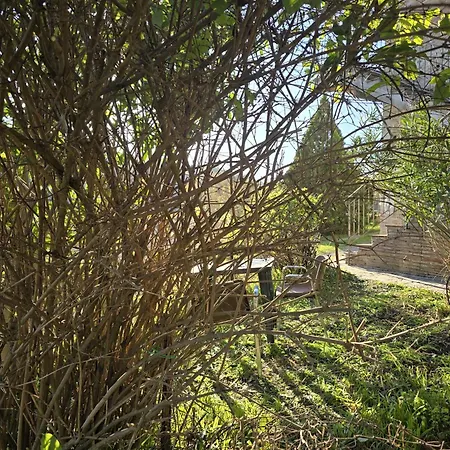 Podere Ponticini Apartman *