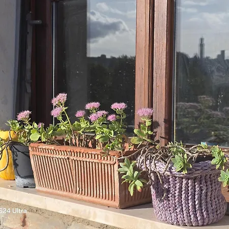 Apartment Podere Ponticini