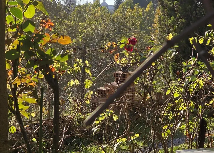Podere Ponticini Lägenhet Siena