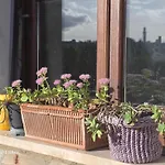 Apartamento Podere Ponticini