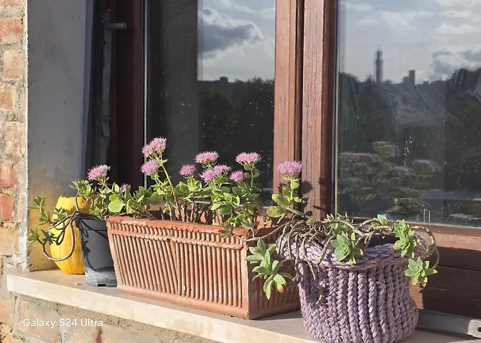 Apartment Podere Ponticini